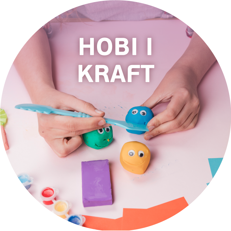 HOBI I KRAFT PROGRAM