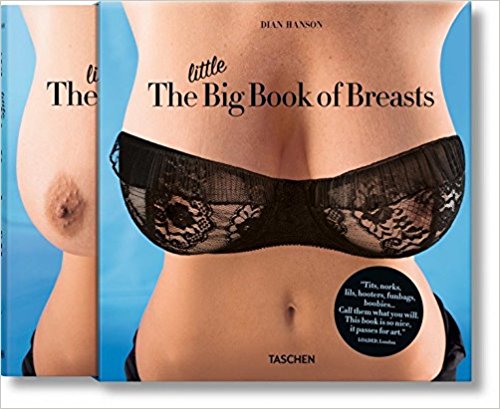 Small Tits - AA Cup (ebook), Howdy Errica, 1230005511204, Livres