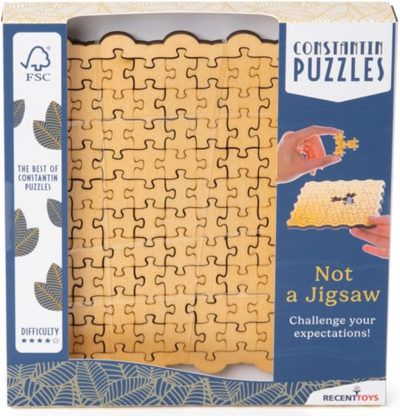 IQ puzzle NOT A JIGSAW 