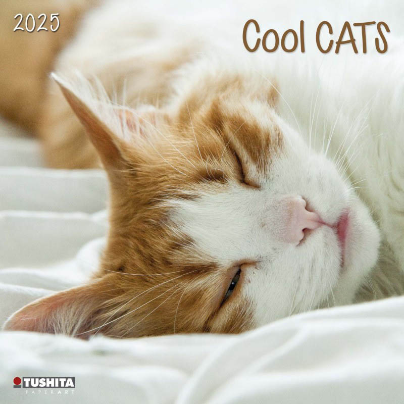 Zidni kalendar COOL CATS 2025 