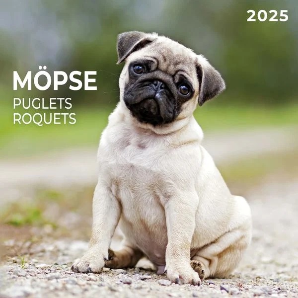 Zidni kalendar PUGLETS 2025 