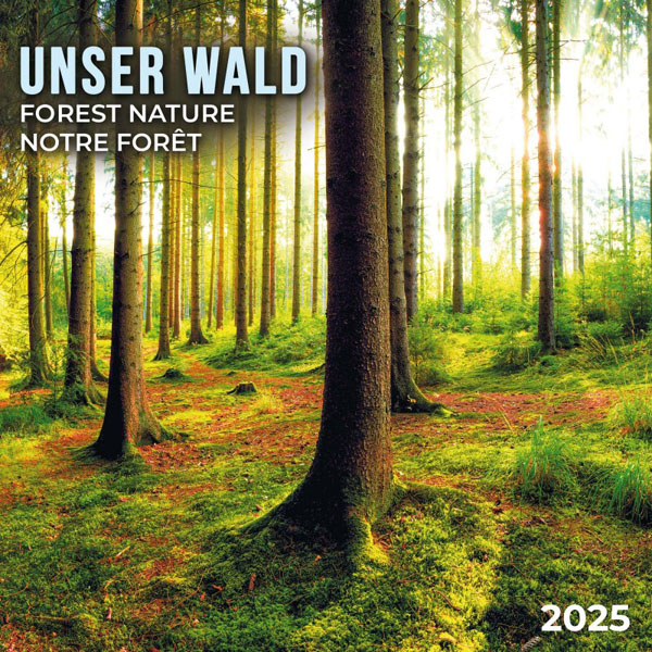 Zidni kalendar FOREST NATURE 2025 