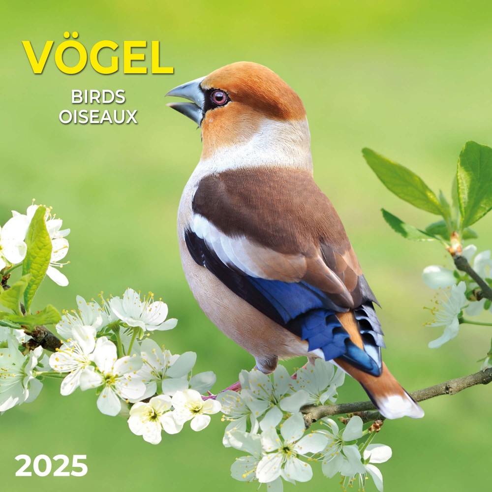 Zidni kalendar BIRDS 2025 