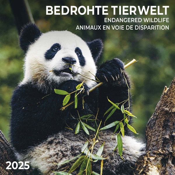 Zidni kalendar BEDROHTE TIERWELT (NEU) 2025 