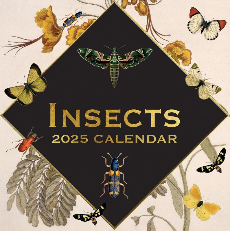 Zidni kalendar za 2025 INSECTS 