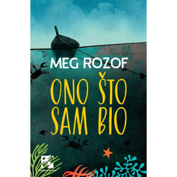 ONO ŠTO SAM BIO 