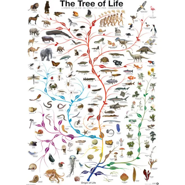 Puzzle THE TREE OF LIFE 1000kom 