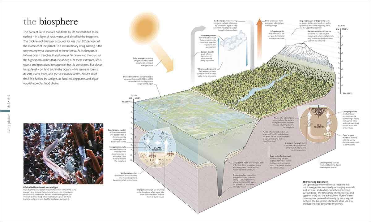 THE SCIENCE OF THE EARTH 