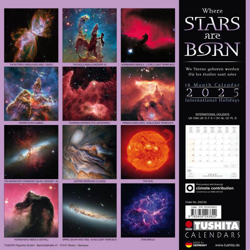 Zidni kalendar WHERE STARS ARE BORN 2025 